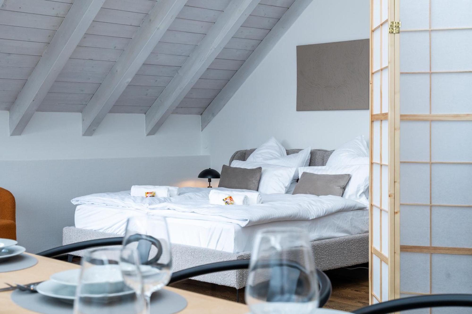 Lyfie Apartments - Xl Architekten Maisonette Wohnung - Straubing Dış mekan fotoğraf